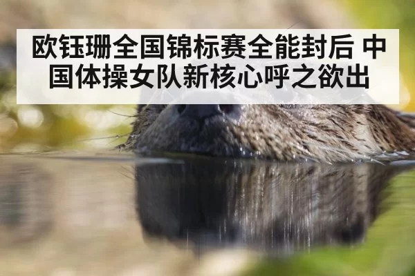 欧钰珊全国锦标赛全能封后 中国体操女队新核心呼之欲出