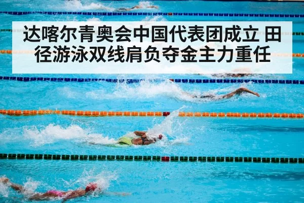 达喀尔青奥会中国代表团成立 田径游泳双线肩负夺金主力重任