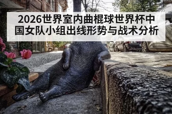 2026世界室内曲棍球世界杯中国女队小组出线形势与战术分析
